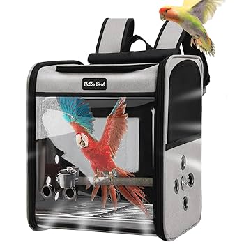 キャリーケージバッグ MLサイズ お出かけ 通院 文鳥 インコ vol.2 楽天市場】インコ ケージ キャリー バッグ 持ち運び 鳥 キャリー